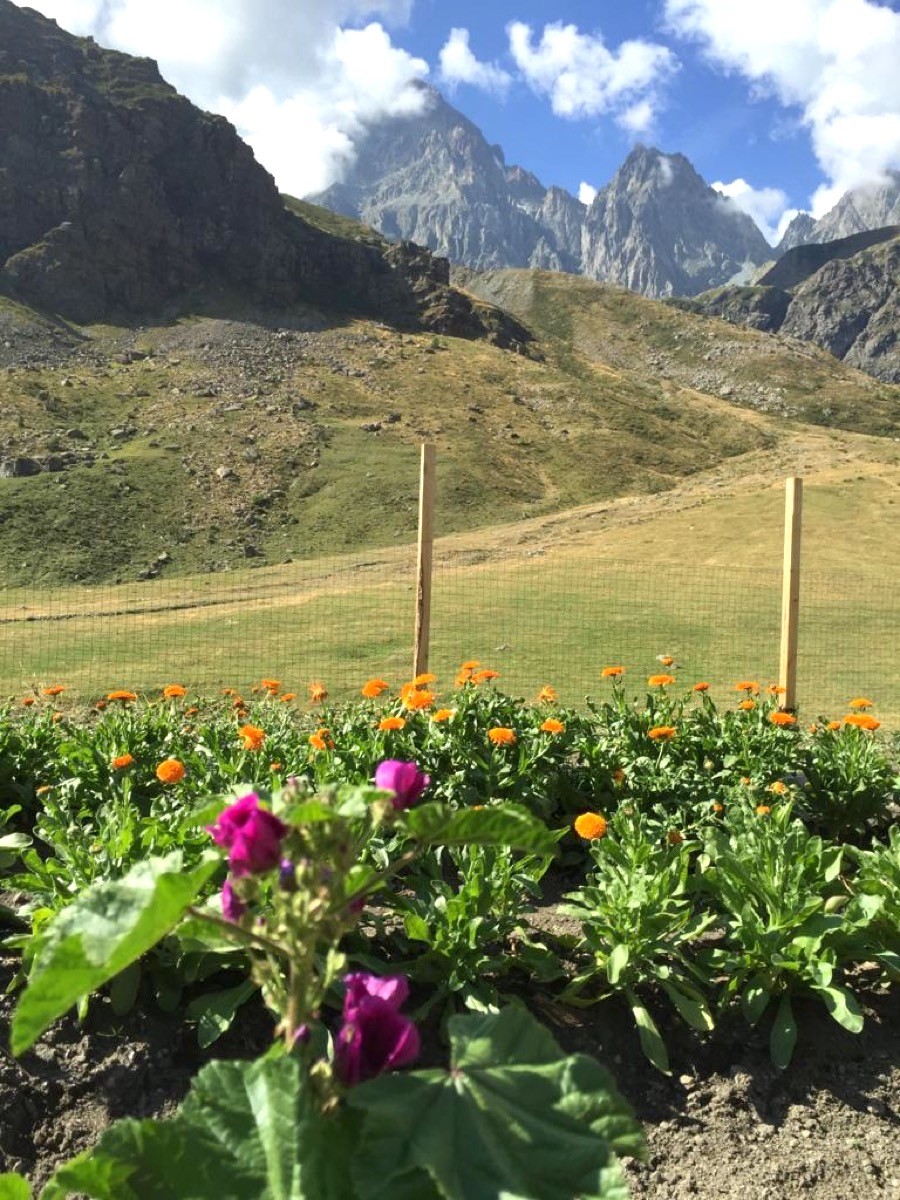 STORIE DI MONTAGNA/60 - Elisa, la chimica d'alta quota 