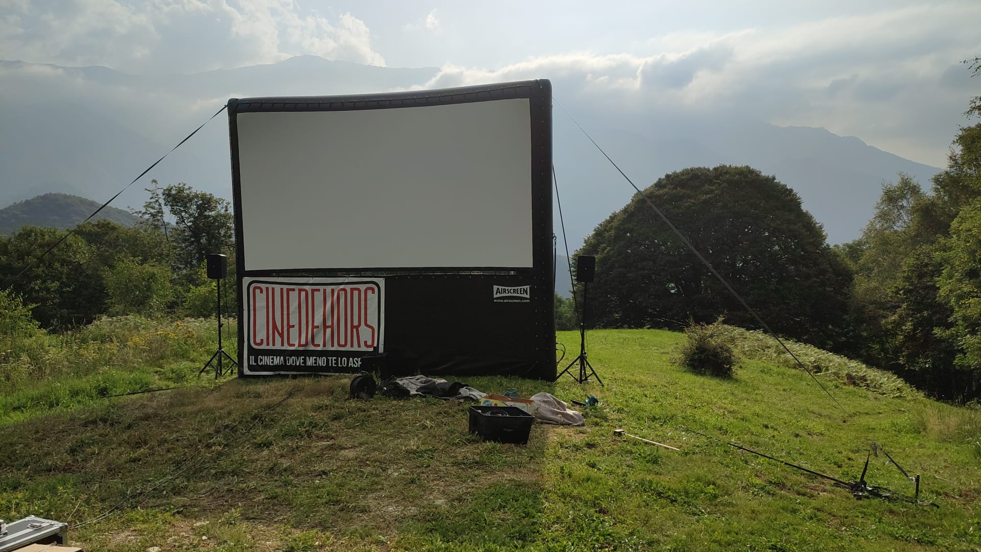 Il cinema in cartellone