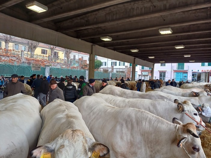 Alcune immagini dalla storica manifestazione