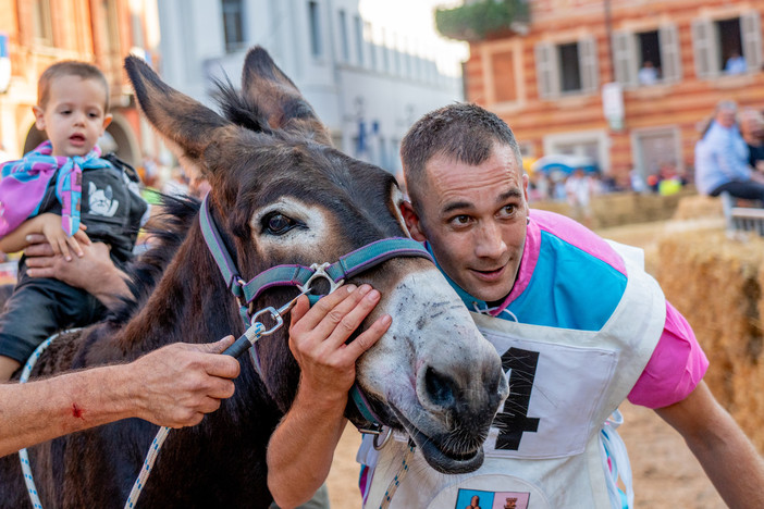 Dal Palio degli Asini ad Alba alla Festa del Pane di Savigliano:  tante proposte per vivere la domenica in Granda