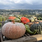 Record di visitatori alla Fiera della Zucca di Piozzo [FOTO]