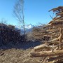 Lo stoccaggio della legna in un bosco ripulito