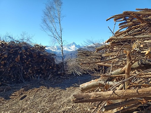 A Revello un incontro per conoscere le buone pratiche di gestione forestale