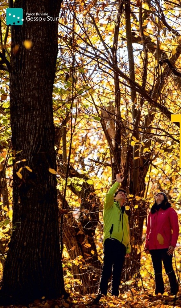 Al Parco fluviale l’autunno porta grandi novità