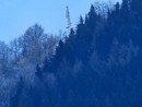 Ripetitore Cima Buschin, Borgo San Dalmazzo