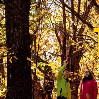 Al Parco fluviale l’autunno porta grandi novità