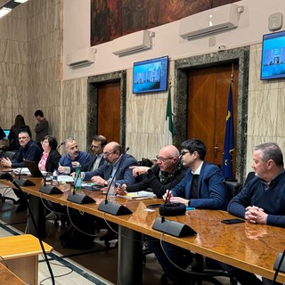 Alcuni momenti dell'incontro tenuto oggi a Roma