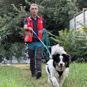 Open day di Mantrailing: il nuovo evento del centro cinofilo “Porta della Langa” di Carrù