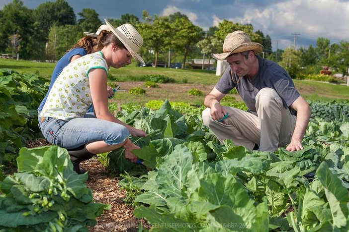 Tempo di Stracôni: anche Coldiretti Cuneo e le sue imprenditrici agricole in prima linea contro la violenza sulle donne