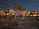 Open Baladin cerca 130 volontari per accendere le luci di piazza Foro Boario e dare il via al Natale cuneese