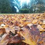 Domenica aprono i giardino storici della Granda