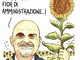 A Farigliano arrivano i girasoli