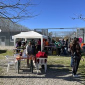 Cuori aperti, code che scodinzolano: la festa di Natale di Amici di Zampa