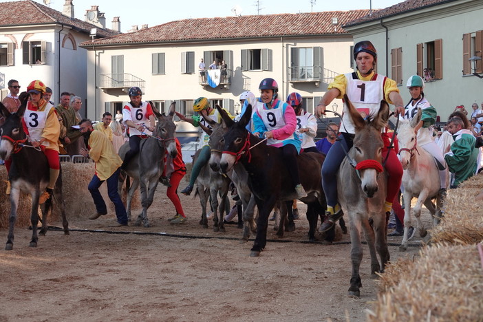 Alba: divieti di transito e di sosta per il Palio degli Asini