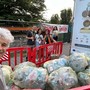 Una Fiera del Tartufo Bianco d'Alba sempre più sostenibile. &quot;Cerchiamo almeno 50 volontari&quot;