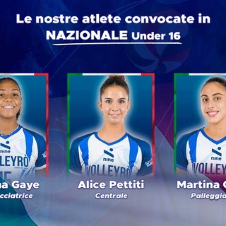 La grafica apparsa sul sito del Volleyrò Casal de' Pazzi