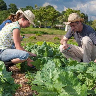 Tempo di Stracôni: anche Coldiretti Cuneo e le sue imprenditrici agricole in prima linea contro la violenza sulle donne