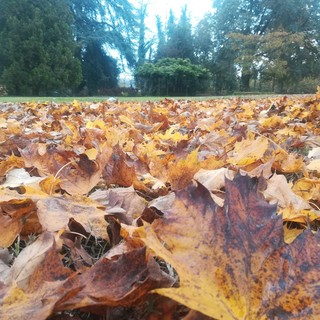 Domenica aprono i giardini storici della Granda