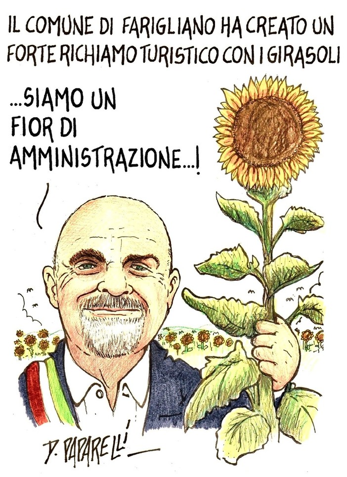 A Farigliano arrivano i girasoli