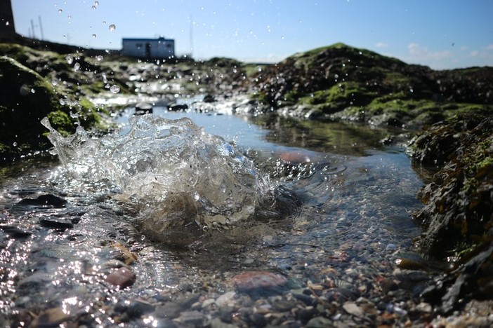 Cuneo, in Camera di Commercio il webinar sulla sostenibilità dell'acqua nei sistemi agroalimentari