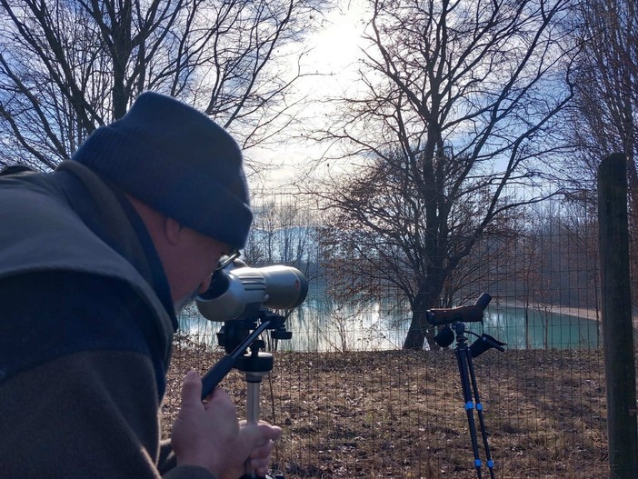 Il parco del Monviso conta oltre 2.300 volatili divisi in 17 specie differenti: i dati dell'International Waterbird Census