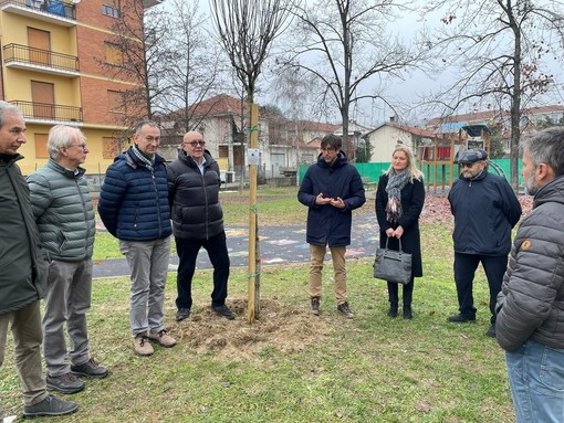 La posa dell'albero nel dicembre 2022