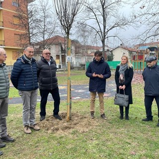 La posa dell'albero nel dicembre 2022