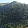 Il bosco adottato da Ratatoj aps  nel bosco di Serre in Val Po