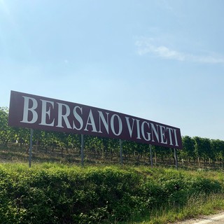 Vigneti Bersano a Serralunga d'Alba (Fb)