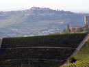 I vigneti di Barbaresco