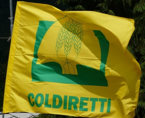 Fondi PAC, Coldiretti Cuneo: &quot;Nuovo bilancio UE salvaguardi l'eccezionalismo agricolo&quot;