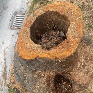 Un’immagine degli abbattimenti effettuati nei giorni scorsi in corso Soleri.