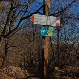 Costigliole Saluzzo: volontari e Comune uniti per la manutenzione dei sentieri per mountain bike