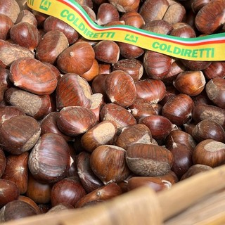 Castagne, dopo il 2022 &quot;nero&quot; Coldiretti vede la luce: &quot;Produzione tornata a ottimi livelli, anche qualitativi&quot;