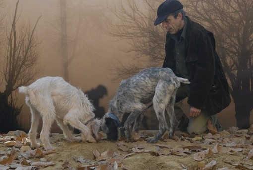 Il regista Remo Schellino premiato con lo &quot;Zappino del Trifulau&quot; al Cinema Moretta di Alba