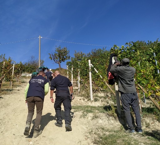 L'intervento della polizia in una vigna