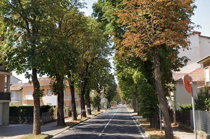 In corso Bra ad Alba verranno abbattuti dieci alberi: &quot;Gli interventi da metà ottobre&quot;