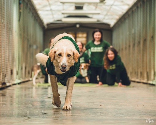 Passeggiate per i diritti degli animali col Canile Rifugio 281 di San Michele Mondovì