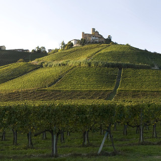 Castiglione Falletto, la cantina Vietti interessa a Louis Vuitton: &quot;Ma non è in vendita&quot;