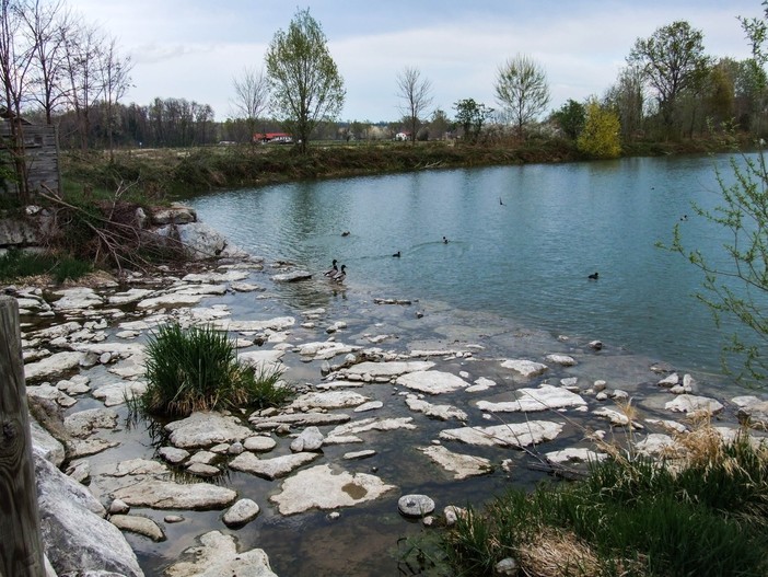 Il disegno in planimetria della diga e dell'area naturalistica con le diverse attività in zona Canale Sarmassa.