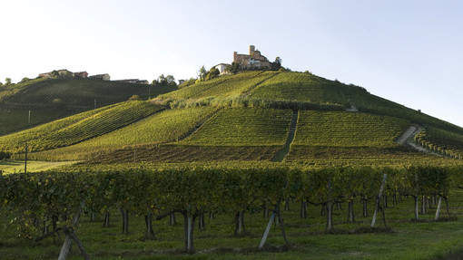 Castiglione Falletto, la cantina Vietti interessa a Louis Vuitton: &quot;Ma non è in vendita&quot;