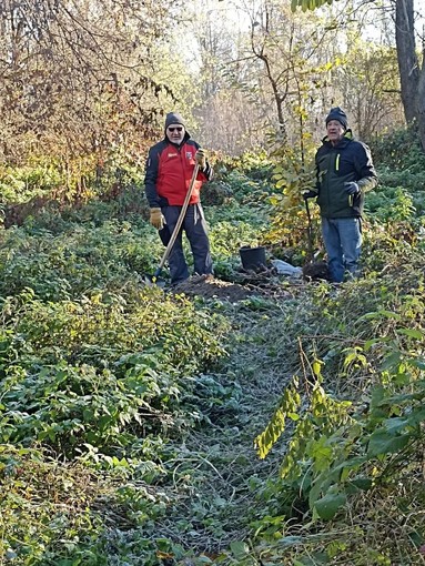 La messa a dimora di una pianta sul sentiero del Maira in occasione della Festa dell'Albero 2023