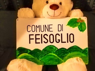 L'insegna del Comune di Feisoglio