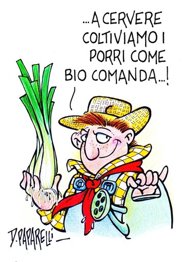 Cervere, dove si coltivano i porri... come &quot;bio&quot; comanda