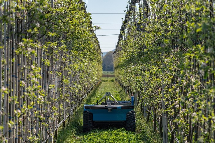 Manta, al Centro per la Frutticoltura il convegno su nuove tecnologie e strategie future