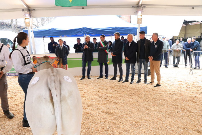 A Fossano una tre giorni per conoscere a ammirare la Razza bovina piemontese