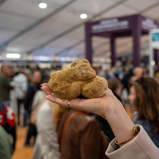 Chiude la 94ª edizione della Fiera del Tartufo Bianco d’Alba, sempre più internazionale