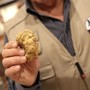 In corso la Fiera Internazionale del Tartufo Bianco d’Alba