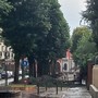 L'albero caduto in via Emanuele Filiberto