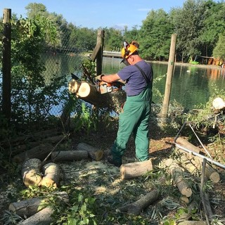 Nubifragio a Cuneo, alberi abbattuti e sentieri inagibili al Fluviale: al lavoro la Protezione Civile